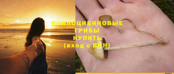 прущая мука Володарск