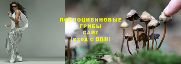 прущая мука Протвино