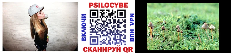 Галлюциногенные грибы мухоморы  Новое Девяткино 